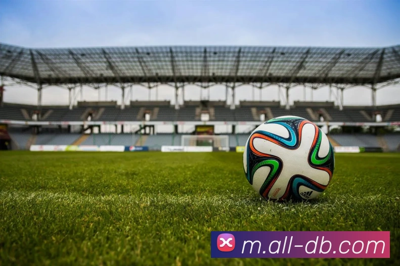 对战数据统计